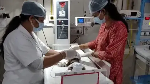 Newborn Buried Living in the Country Fights for Her Life