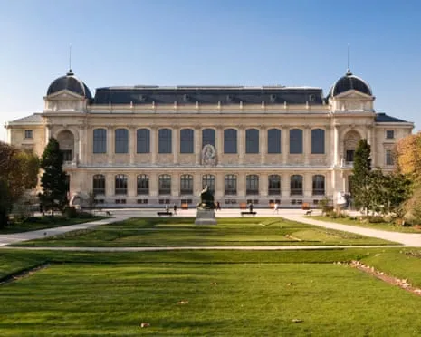 Invaluable Golden Samples Taken in Audacious Robbery at French Natural History Institution